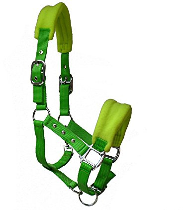 JF-Reitsport Nylon-Halfter weich unterlegt 3-Fach verstellbar fresh lemon Cob