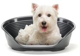 Ferplast Hundebett Katzenbett Kunststoff-Hundebett klein Hundeliege waschbar Hundekorb atmungsaktiv rutschfest Siesta Deluxe, 54 x 35 x h 21,5 cm, Schwarz