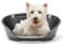 Ferplast Hundebett Katzenbett Kunststoff-Hundebett klein Hundeliege waschbar Hundekorb atmungsaktiv rutschfest Siesta Deluxe, 54 x 35 x h 21,5 cm, Schwarz