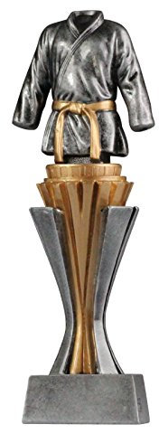 Pokal Trophäe Kampfsport Judo Karate mit Gravur ca. 17 cm hoch Größe S