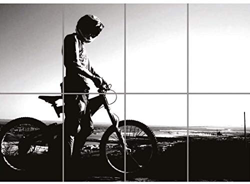 Doppelganger33 LTD Mountain Bike Silhouette BMX Downhill Wall Art Multi Panel Poster Print 47X33 Inches