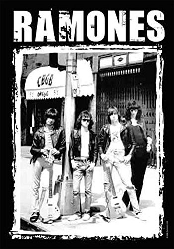 Flagline Heart Rock Original Ramones CBGB Photo Flag, Fabric, Multicolor, 110x75x0 cm