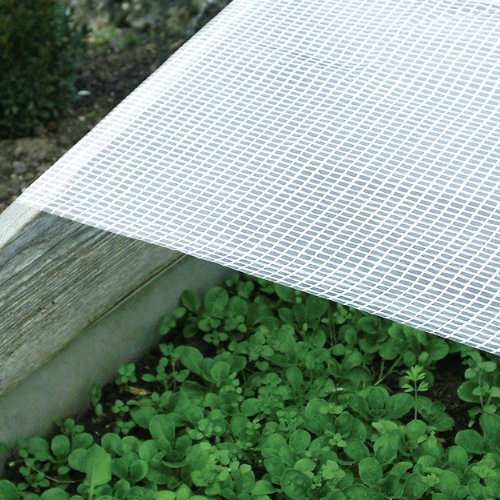 Prima Flora 600903 Gitterfolie, 100 g, 2 x 3 m, transparent