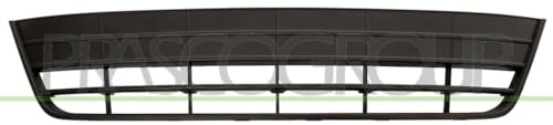 VOLKSWAGEN TIGUAN 11>16 FRONT BUMPER GRILLE
