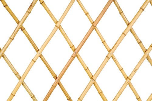 Verdemax 5280 Treillis Extensible en Bambou Naturel avec Grandes Cannes 1,8 x 0,6 m