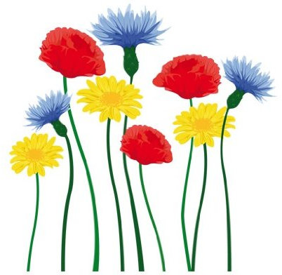 Apalis Fenstersticker Fensterfolie Fensterbild Sommerblumen Frühling 30 x 30cm