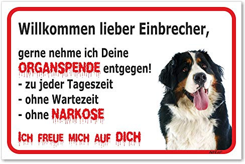 AdriLeo Schild - Vorsicht Berner Sennenhund - Willkommen Lieber Einbrecher - (20x30cm) / Achtung Hund Wachhund