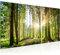 Runa Art Wandbild Wald Landschaft 1 Teilig 100 x 40 cm Modern Bild auf Vlies Leinwand Sonne Schlafzimmer Wohnzimmer Grün 503812b