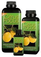 citrus focus 1 litre growth technology