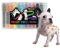 Opawz 12 Bolígrafos de Pintura para Mascotas, Tinte Temporal para el Pelo de Perro, Crayones de Colores, Pintura de Marcado para Perros, Gatos, Aves y Caballos