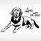 Wandtattoo-Günstig X8076 Autoaufkleber Labrador + Wunschname on Tour schwarz schwarz