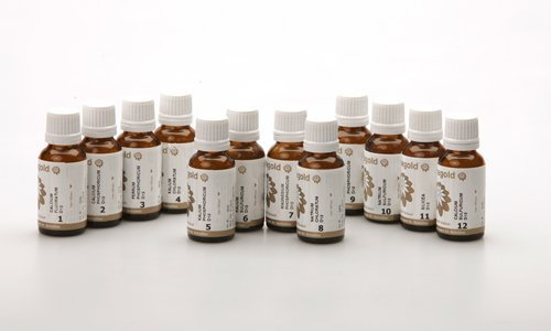 Schüssler Salze 12er Set Globuli Nr. 1-12, 12x20 g
