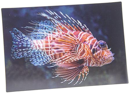 Cornelißen naTierliche Geschenke Cornelissen 3D-Postkarte Rotfeuerfisch, Wackelkarte Hologrammkarte, Ansichtskarte und Grußkarte, Wassertiermotiv, 16 x 11 cm