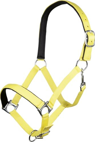 HKM -Stars Softice- Halfter Pferd | Weich Unterlegt, mit Karabiner & Silberbeschlägen | Neongelb | Größen: Shetty, Pony, Vollblut, Warmblut, Kaltblut (Kaltblut (XFull))