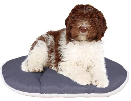 FERPLAST Hundebett & Katzenbett - Hundebett Mittel - Hundebett Waschbar - Hundekissen - Matte für Hundehütten, Zwinger und Auto - Hundebett Flauschig - Relax - 78 x 50 CM, ML, BEIGE