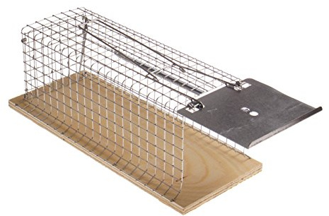 Drahtkasten-Rattenfalle, für Lebendfang