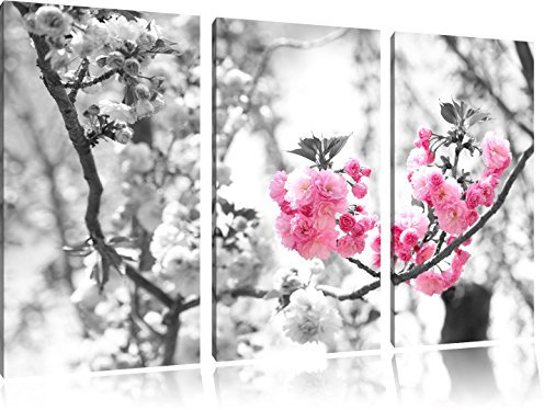 Très belle fleurs de cerisier noir / blanc sur l'image 120x80 sur toile 3-pièces de l'image de la toile, énorme XXL Photos complètement encadrée avec civière, art impression sur murale avec cadre, gänstiger comme la peinture ou la peinture à l'huile, aucune affiche ou un poster