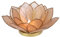 GURU SHOP Lotus Teelicht Muschel 14x6 cm - Sandfarben