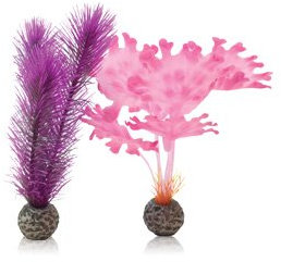 Reef One Biorb Small Pink Kelp Plants for Aquariums