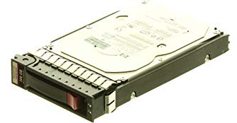 Hewlett Packard Enterprise 300GB 3.5 15000 rpm DP SAS 300GB SAS - int