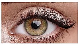 FreshTone Lentilles De Contact De Couleur Pure Hazel 3T Kit De Rangement Couleur Aléatoire Boitier Pince et applicateur Offert 12 Mois sans correction