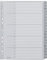 Leitz Register für A4, Kartondeckblatt und 20 Kunststofftrenner, Register mit alphabetischem Aufdruck AZ, Überbreite, grau, 12600000