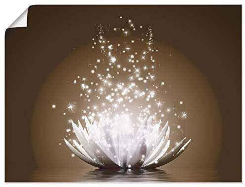 ARTland Wanddeko Poster & Kunstdrucke Wandposter 40x30 cm Asien Botanik Blumen Blüten Lotusblume Seerose Modern braun T3ZX