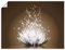 ARTland Wanddeko Poster & Kunstdrucke Wandposter 40x30 cm Asien Botanik Blumen Blüten Lotusblume Seerose Modern braun T3ZX