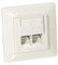 EQUIP 125723 Toma RJ45 2XRJ45 CAT5E Empotrado/MONTADO EN Superficie