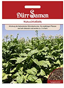 Dürr-Samen - Rauchtabak Mischung Saatgut