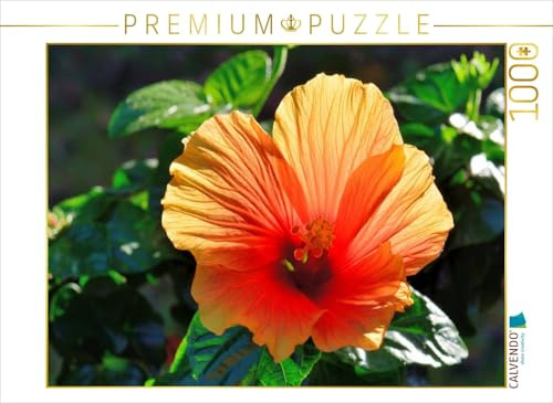 CALVENDO Puzzle Hibiskus | 1000 Teile Lege-Größe 64 x 48 cm Foto-Puzzle für glückliche Stunden