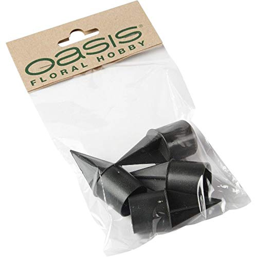 Oasis UTST5485_1