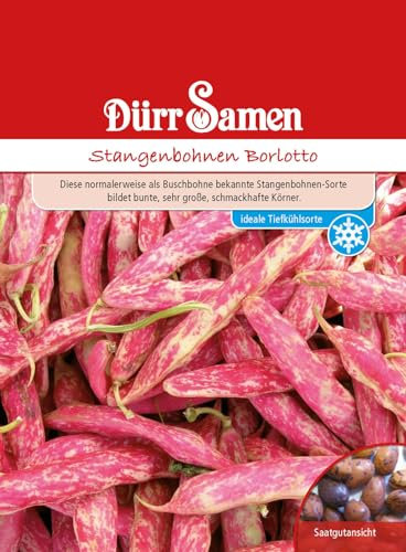 Stangenbohnen Samen Borlotto Bohnensamen Rote Bohnen ca 70 Korn Saatgut Gemüse Garten Hochbeet Kübel Dürr Samen