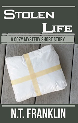 Stolen Life (English Edition)