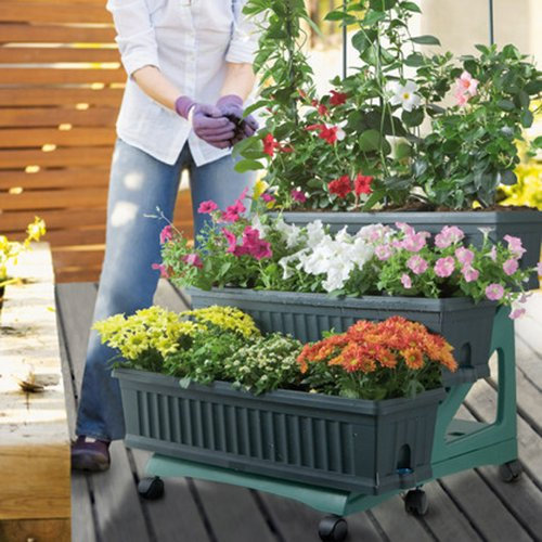 Bama Orto 3 Pots de Fleurs Jardin kit avec Chariot, 80 x 74 x 73 cm, Green, 80x74x73 cm