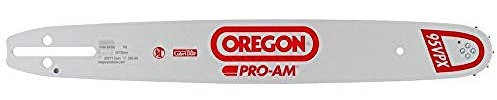 Oregon 160SXEA041 91 Series Pro-AM Sprocket-Nose Bar with A041 Mount