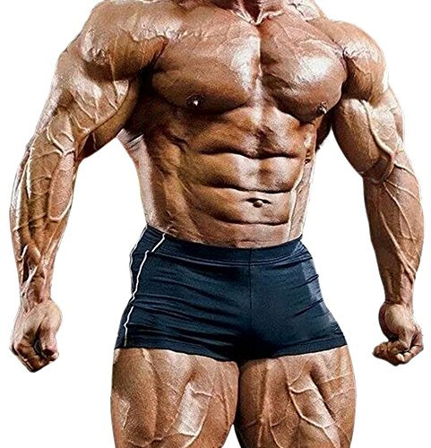 Musclealive Mens Gym Enge 4 inseam Bodybuilding Shorts Polyester und Lycra, PLN-Black, Gr.XL