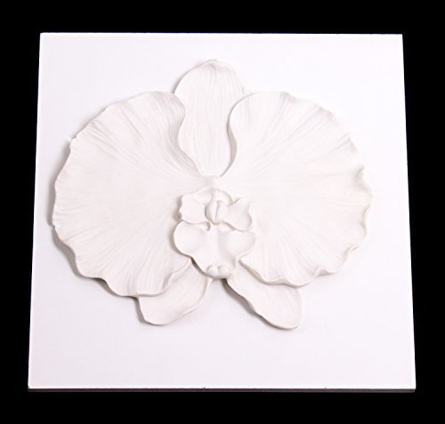 INNA-Glas Murale/Quadro Decorativo di Orchidea phalaenopsis, Bianco, 21x21cm