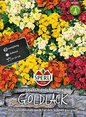 Goldlack, Sperling´s Chupado Mischung