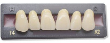 Dents Artificielles - INCISIVE DU HAUT (6 dents)