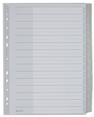 Leitz Register für A4, Deckblatt aus Karton und 15 Trennblätter aus Kunststoff, Taben mit auswechselbaren Einsteckschildchen, Grau, 12760000