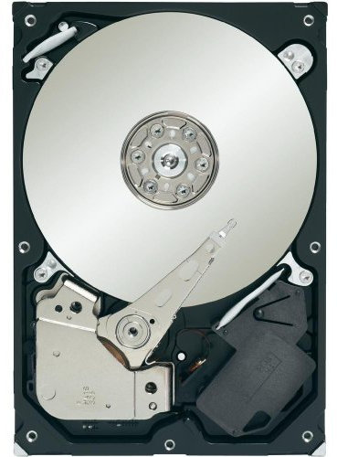 Seagate Interne hard disk 8.9 cm (3.5 Zoll) 3 TB NAS Bulk ST3000VN000 SATA III