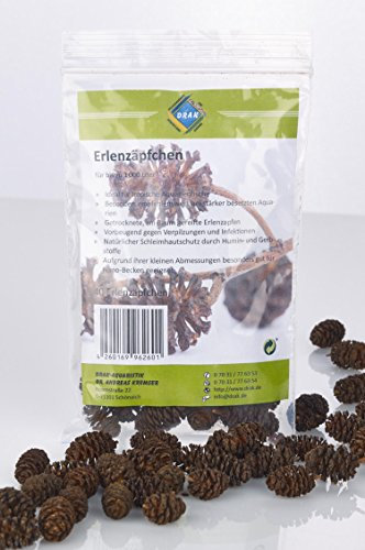 Erlenzapfen XL DRAK (30 Stück)