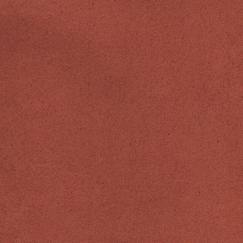 Liedeco Flächenvorhang Stoff Samt, Schiebevorhang rot