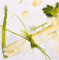 Everflag Restaurant-Servietten Spargel 100er Pack