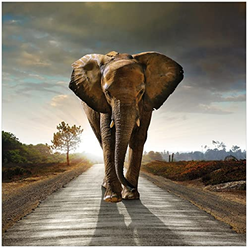 Wallario Glasbild Elefant bei Sonnenaufgang in Afrika - 30 x 30 cm Wandbilder Glas in Premium-Qualität: Brillante Farben, freischwebende Optik