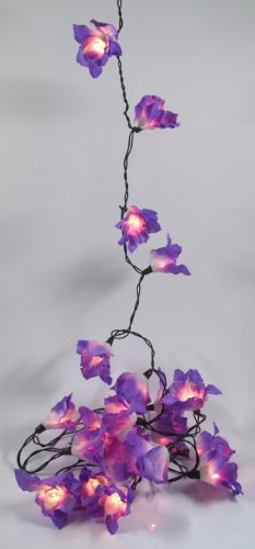 GURU SHOP Lotus Blüten LED Lichterkette - Blüte Lila, 6x6x350 cm
