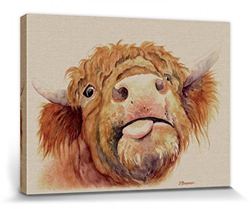 1art1 Rinder Poster Baxter, Jane Bannon Bilder Leinwand-Bild Auf Keilrahmen | XXL-Wandbild Poster Kunstdruck Als Leinwandbild 80x60 cm