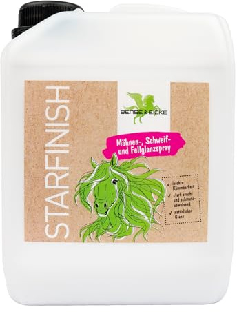 Parisol StarFinish 2500 ml Kanister