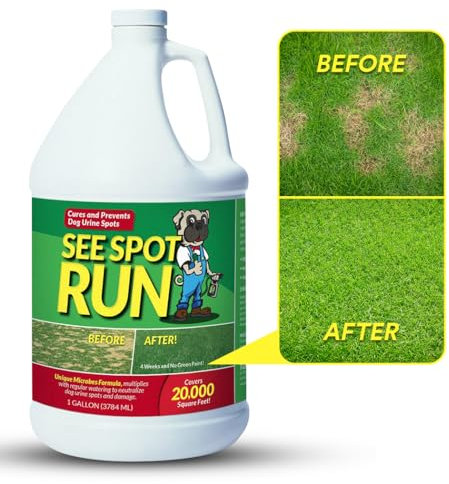 See Spot Run Elimina le macchie gialle sul prato causate dall'urina del cane | Completamente naturale, sicuro per animali domestici e esseri umani | Prodotto negli Stati Uniti | pronto da mescolare